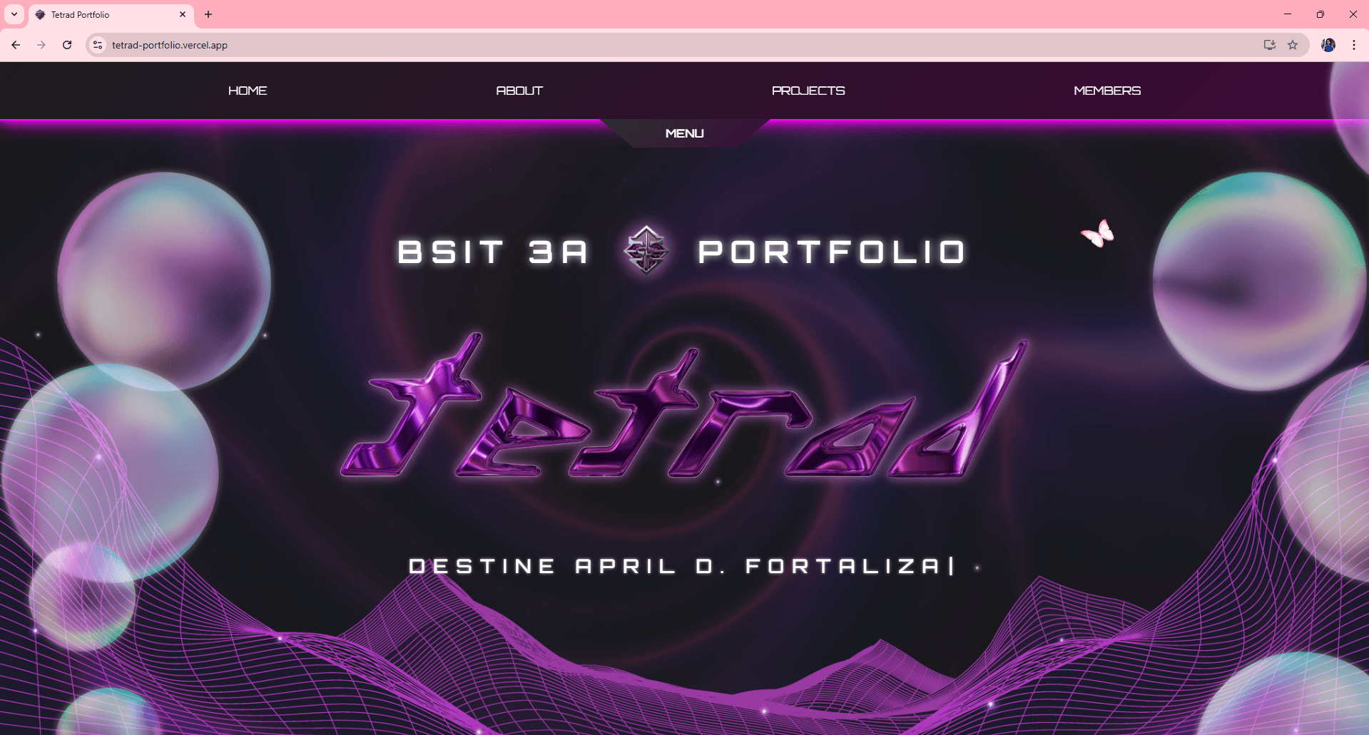 Tetrad Interactive Group Portfolio screenshot